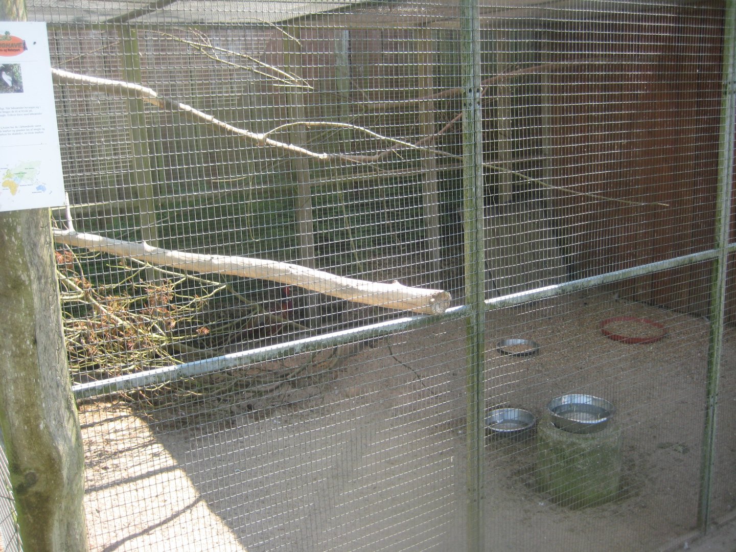 Enghave Dyre- og Naturpark - Pigeon/pheasant aviary