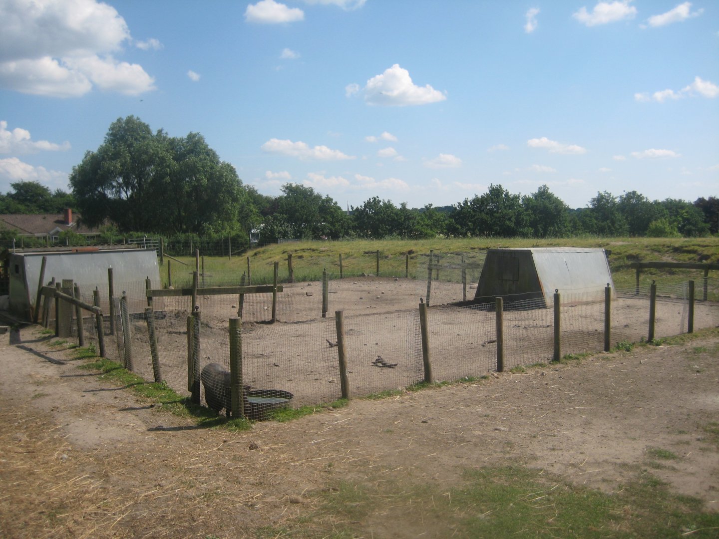 Enghave Dyre- og Naturpark - Sheep and pig exhibits