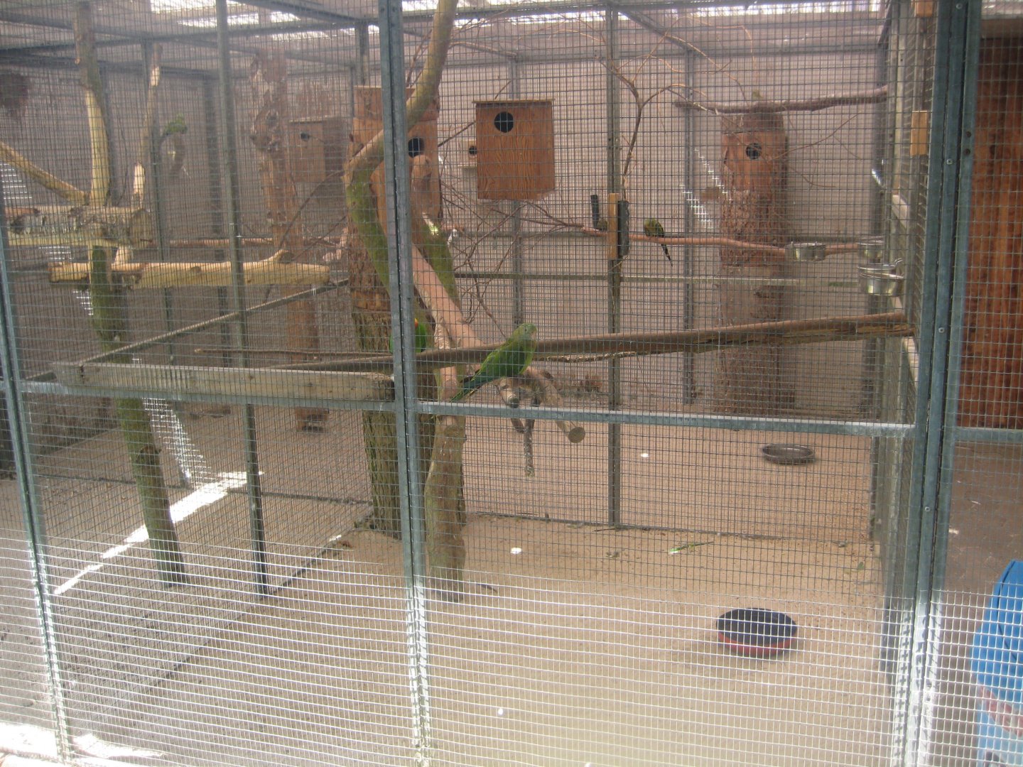 Enghave Dyre- og Naturpark - Superb parrot aviary
