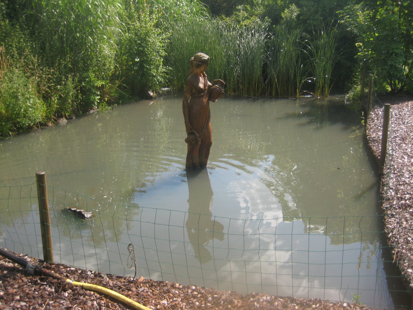 Enghave Dyre- og Naturpark - Turtle pond