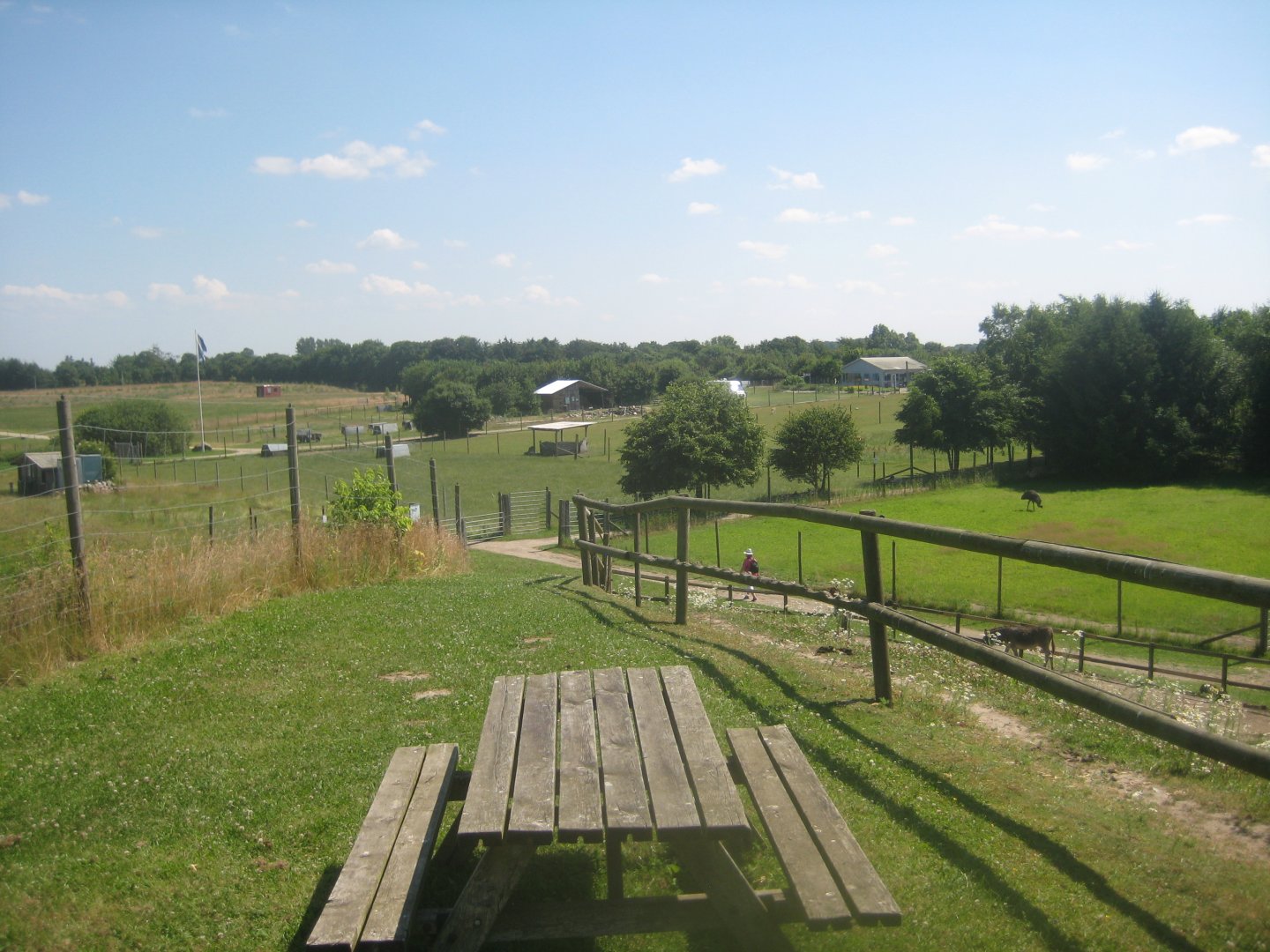 Enghave Dyre- og Naturpark - View from viewpoint
