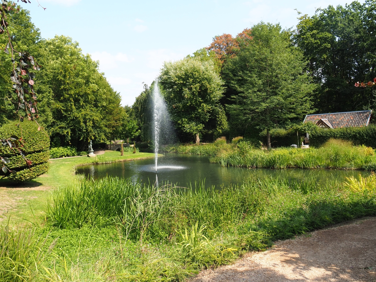 English garden pond (Aug 28th, 2018)