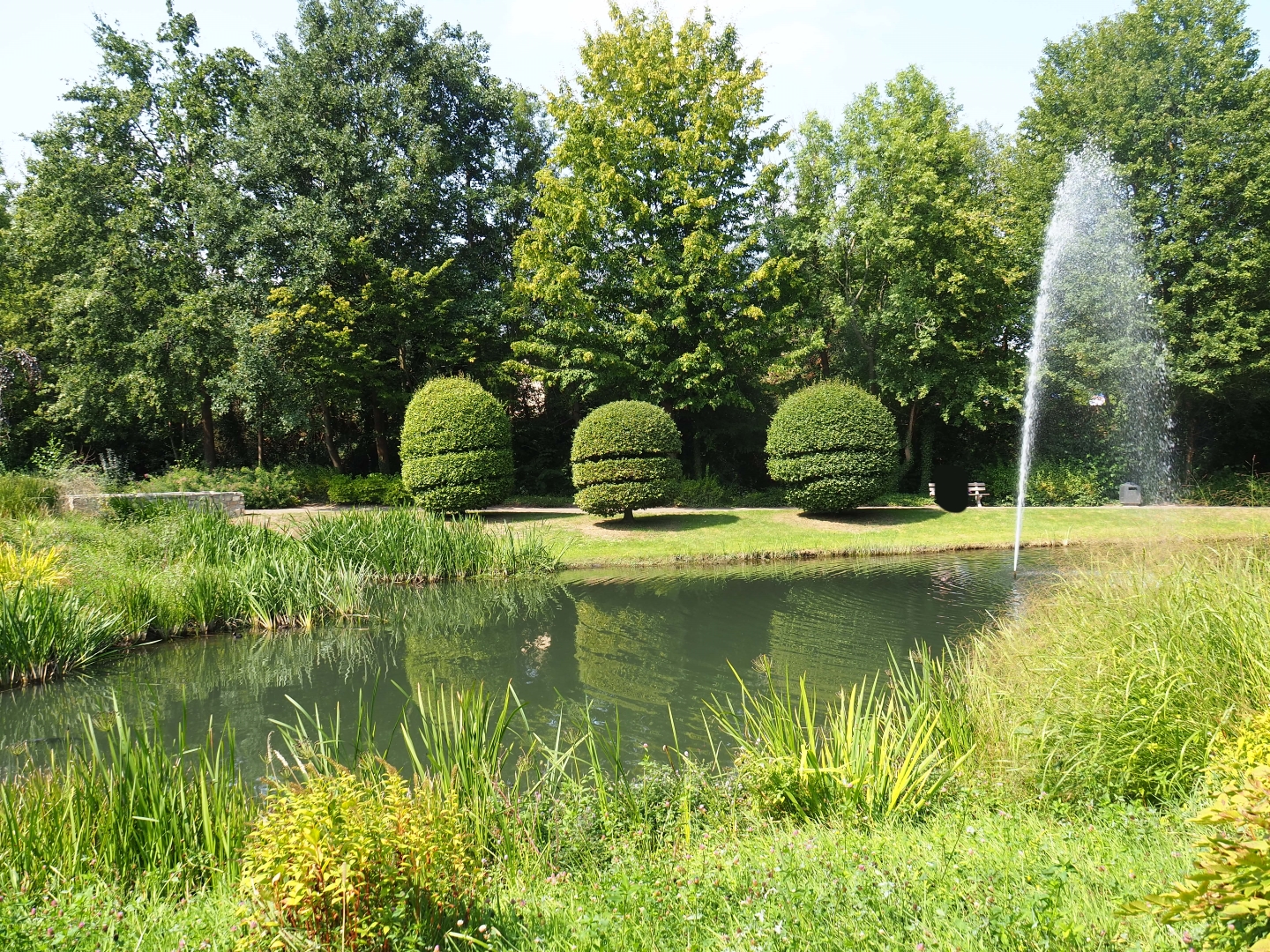 English garden pond (Aug 28th, 2018)