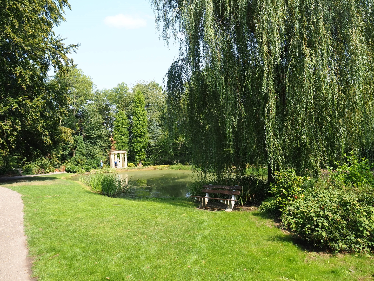 English gardens pond (Aug 28th, 2018)