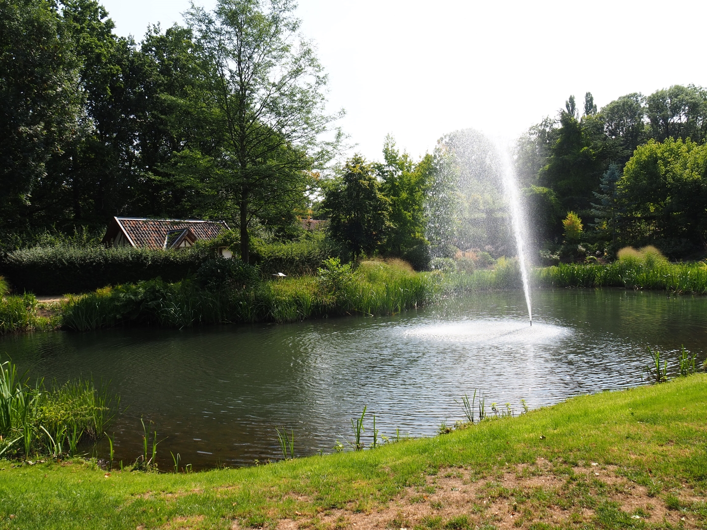 English gardens pond (Aug 28th, 2018)