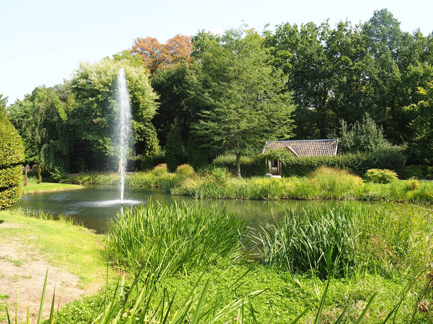English gardens pond (Aug 28th, 2018)