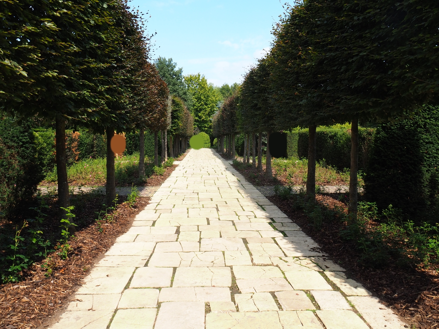 English landscaped gardens (Aug 28th, 2018)