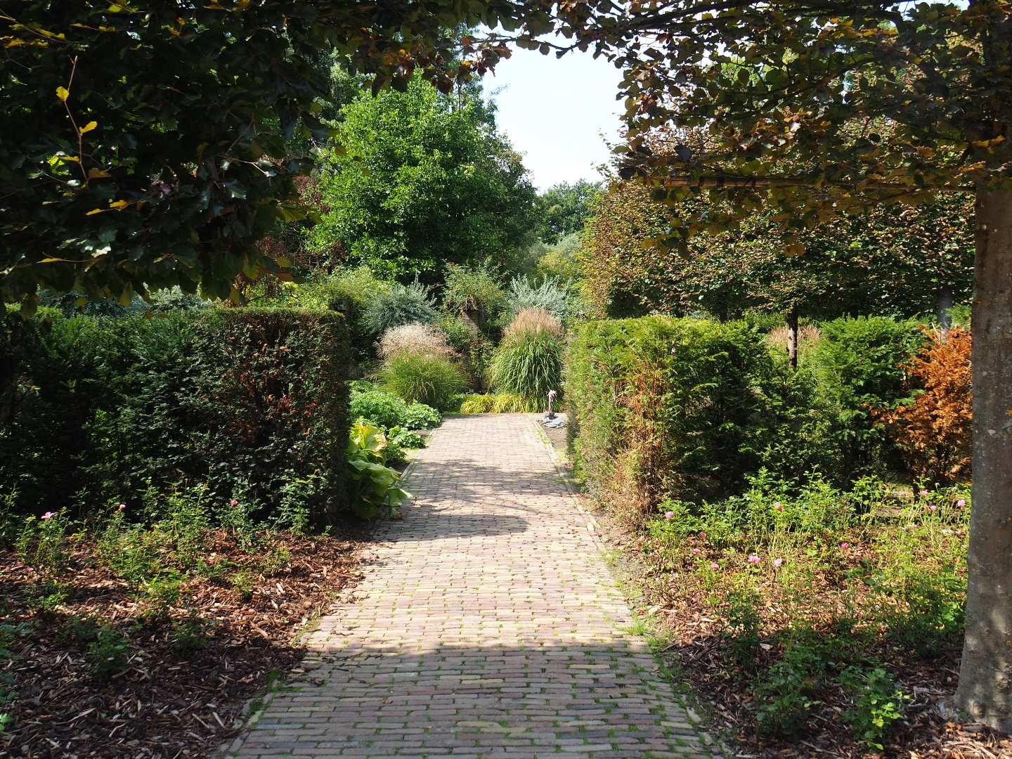 English landscaped gardens (Aug 28th, 2018)