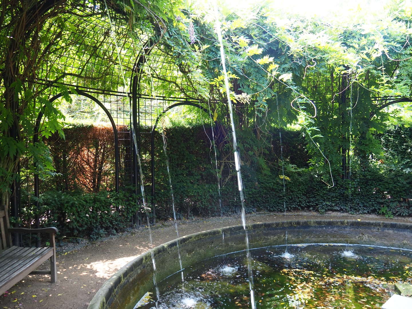 English landscaped gardens (Aug 28th, 2018)