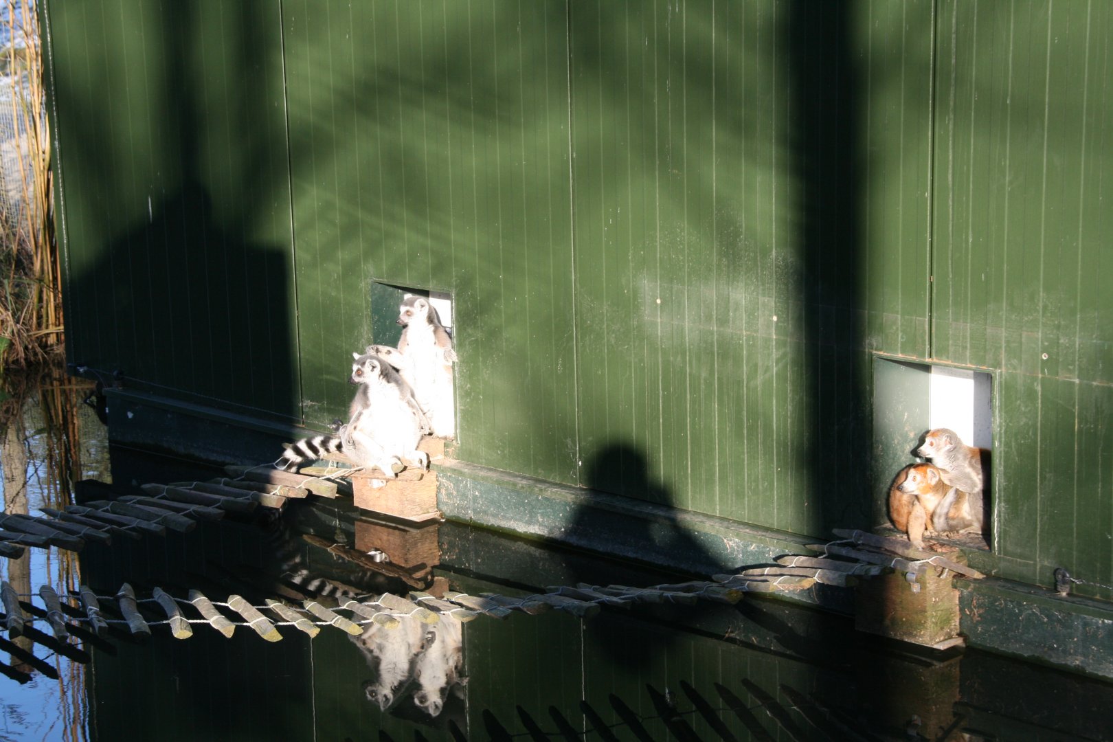 enjoying some winter sunshine