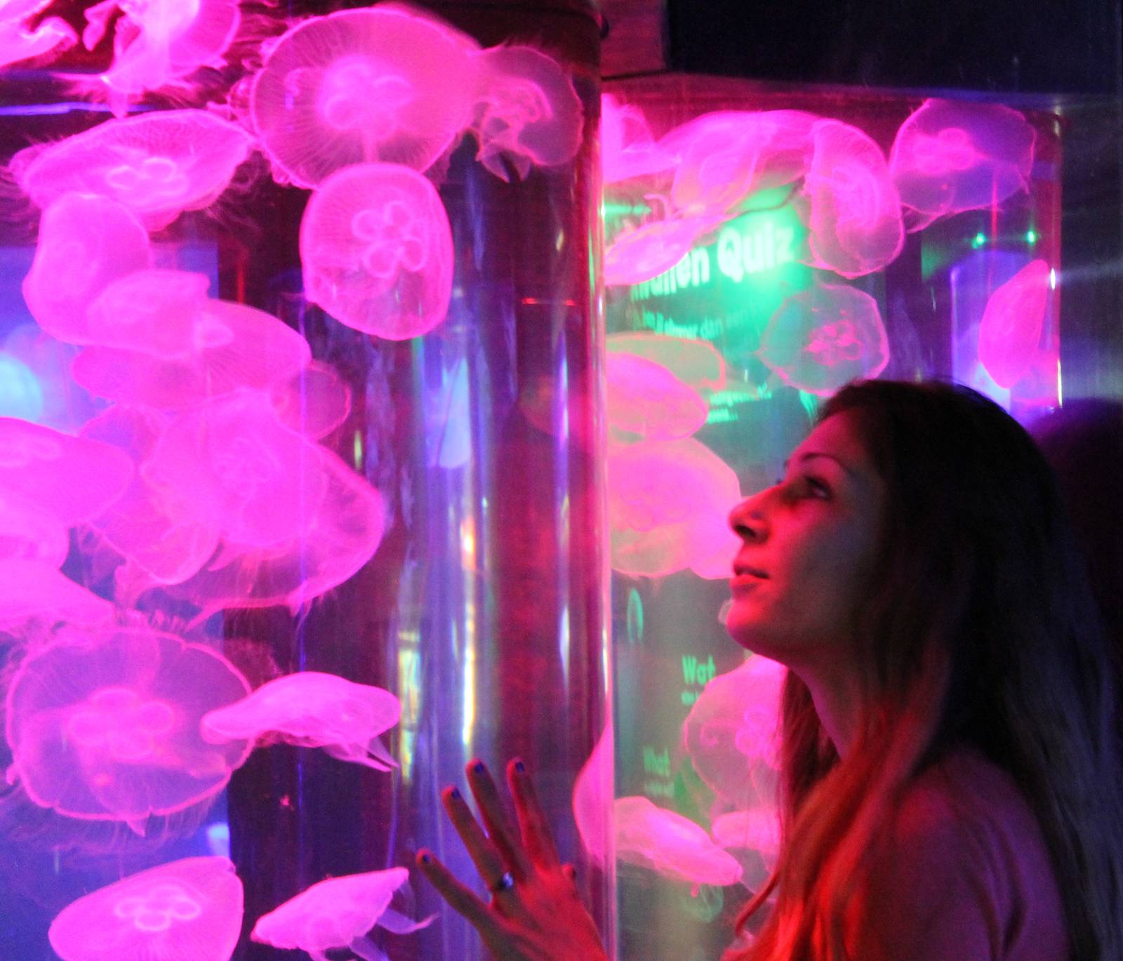 Enjoying the jellyfish