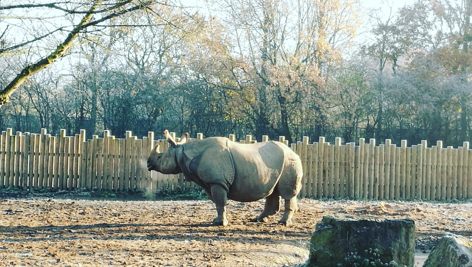 Enjoying the morning sun