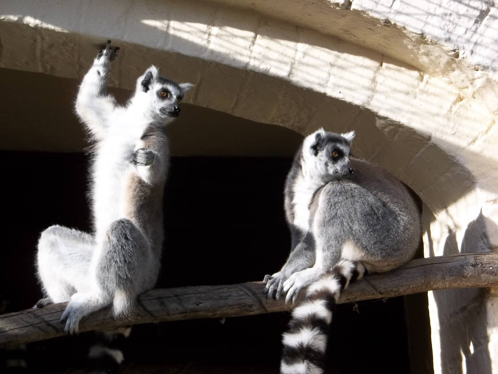 Enjoying the sunshine, 12th October 2014