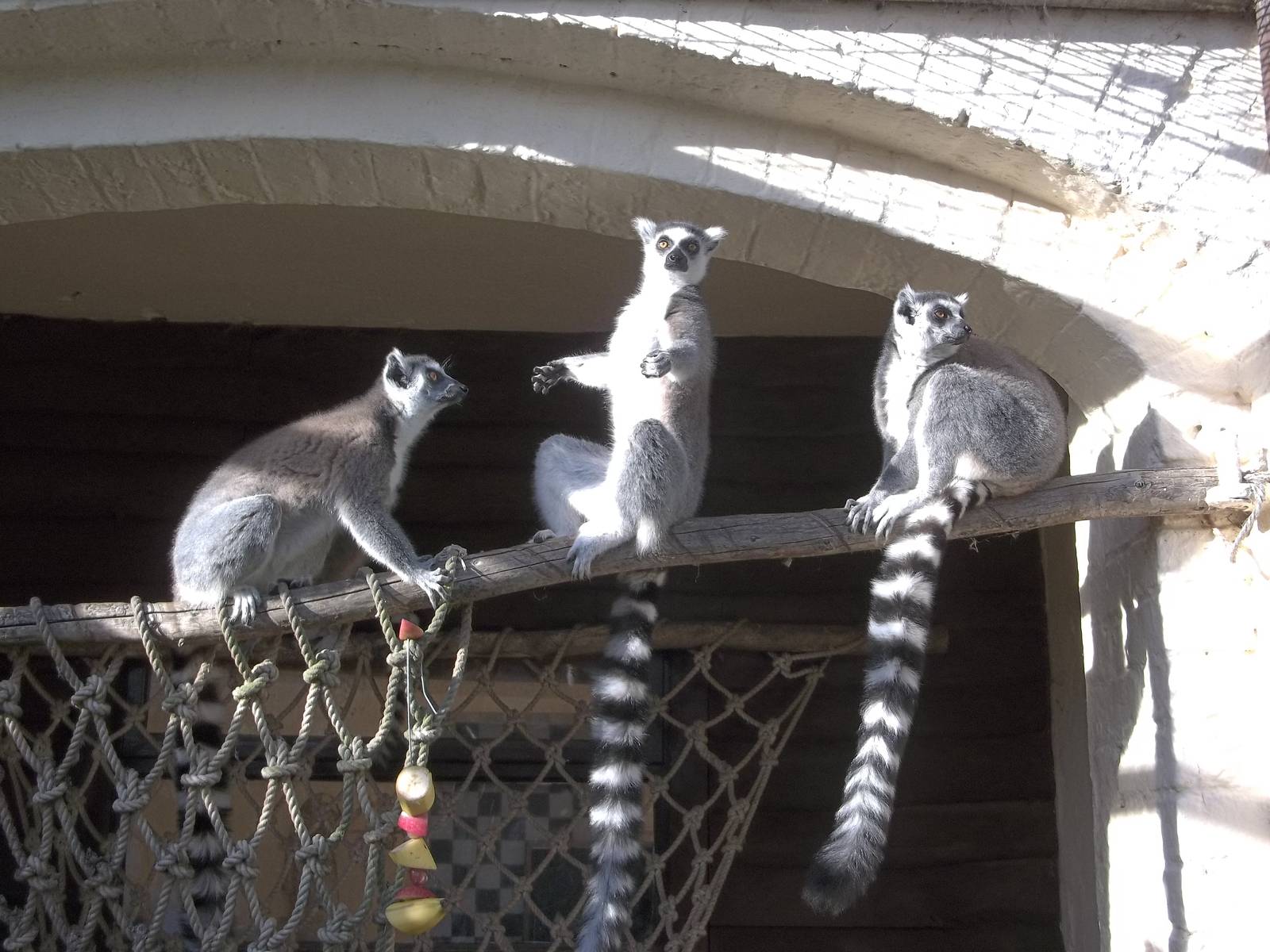 Enjoying the sunshine, 12th October 2014