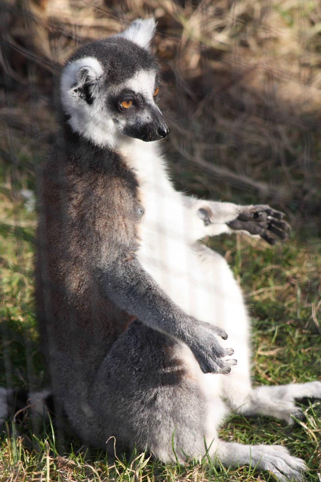 Enjoying the sunshine, 7th March 2015