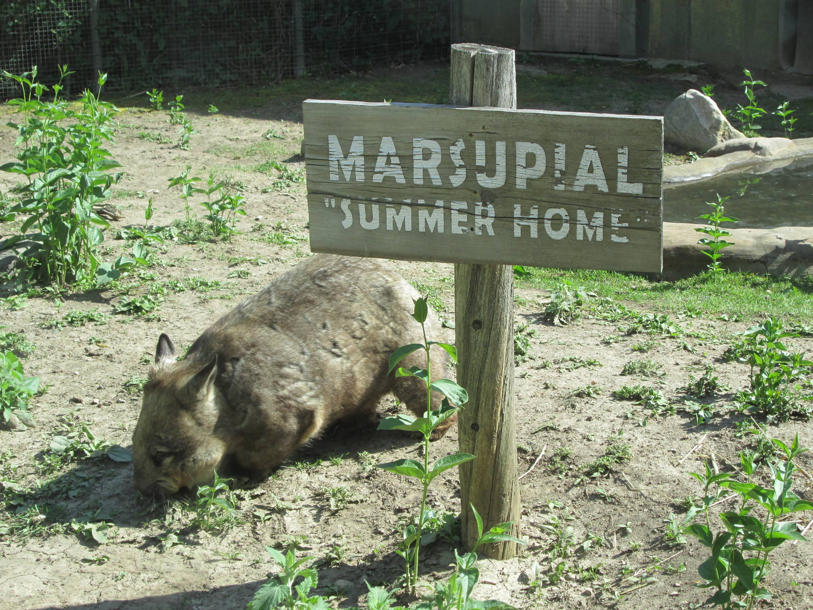 Enjoying the weather