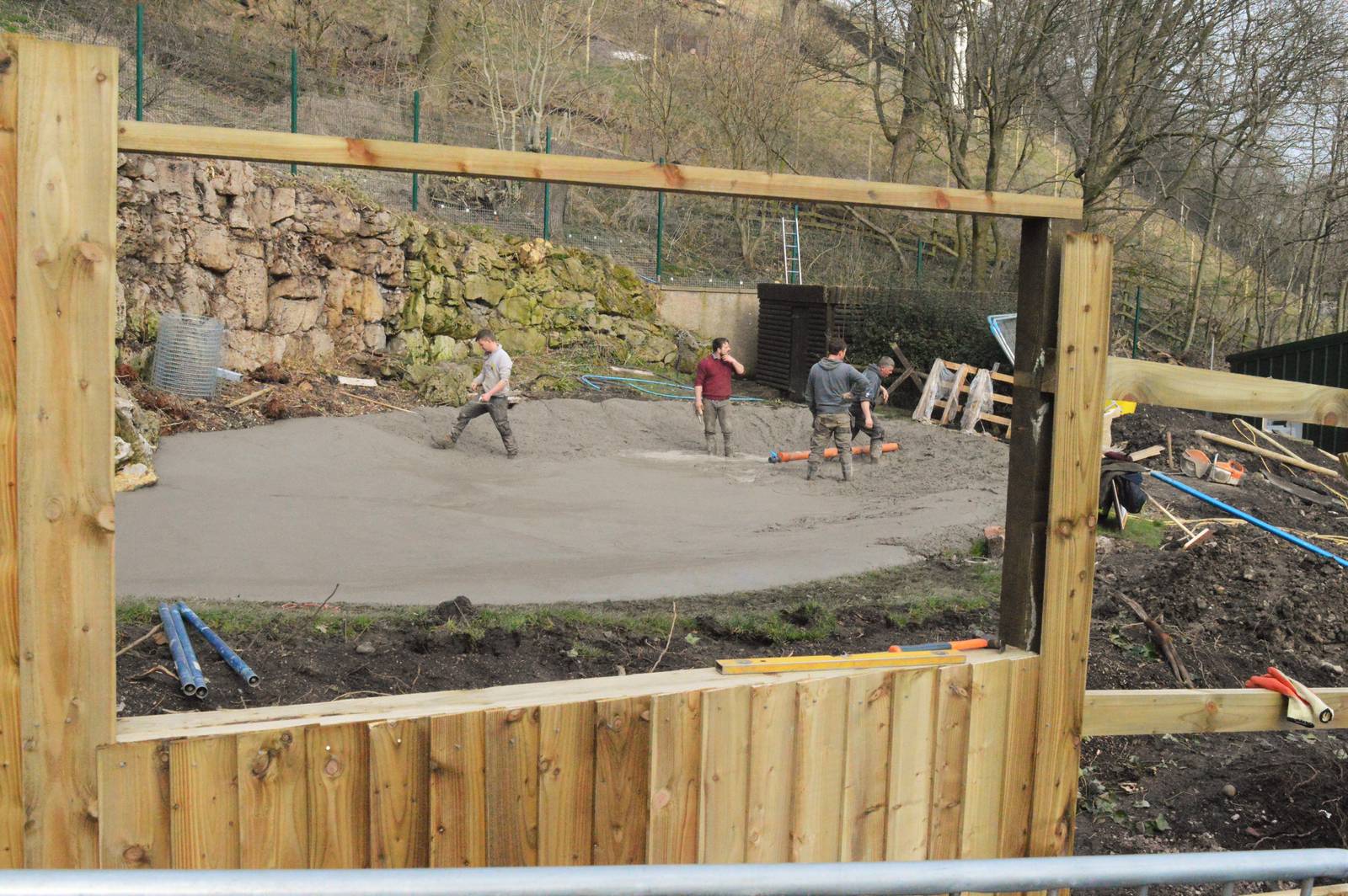 'Enlarged' flamingo pool