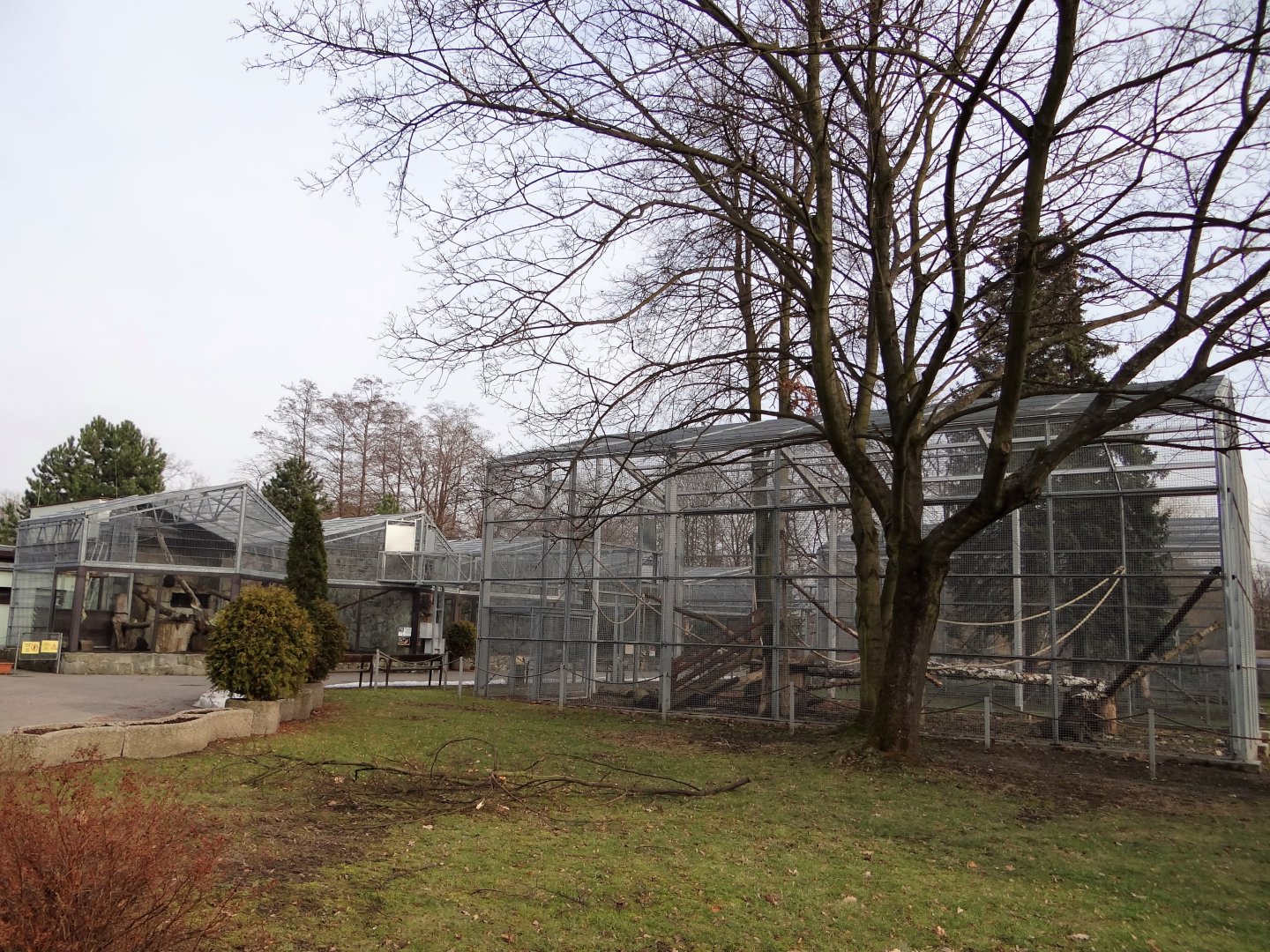 Enlarged monkey enclosures