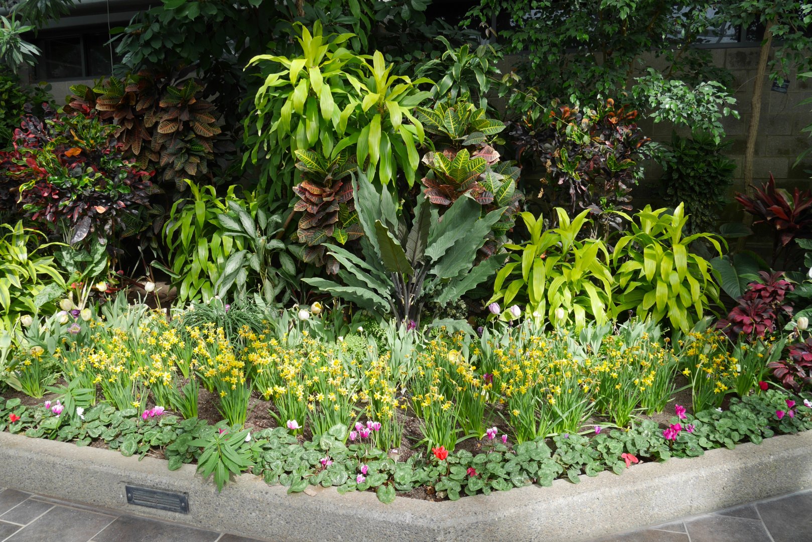 Enmax Conservatory: Garden Gallery - Spring Bulb and Tropicals Display