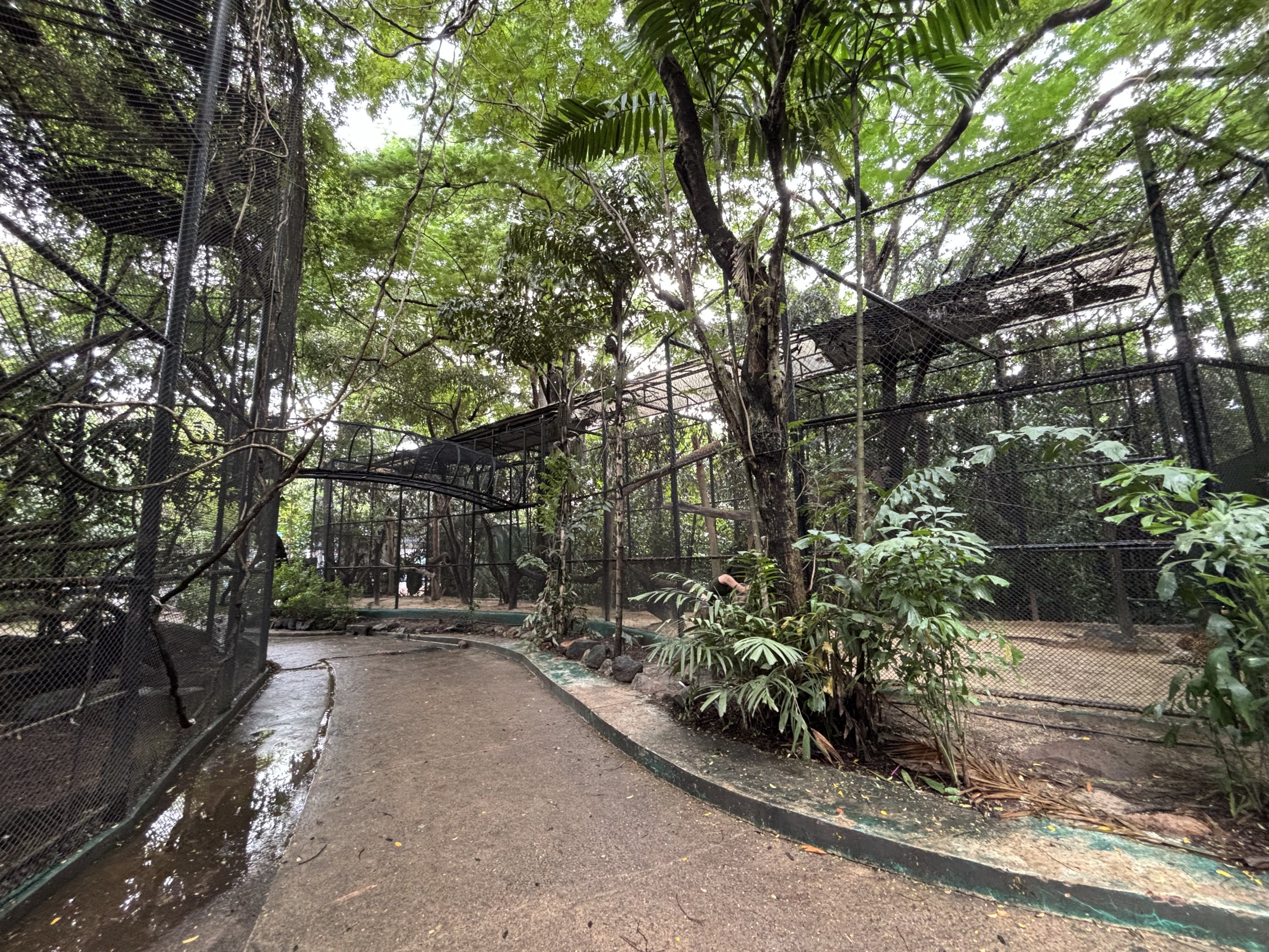 Enormous Leopard Exhibit