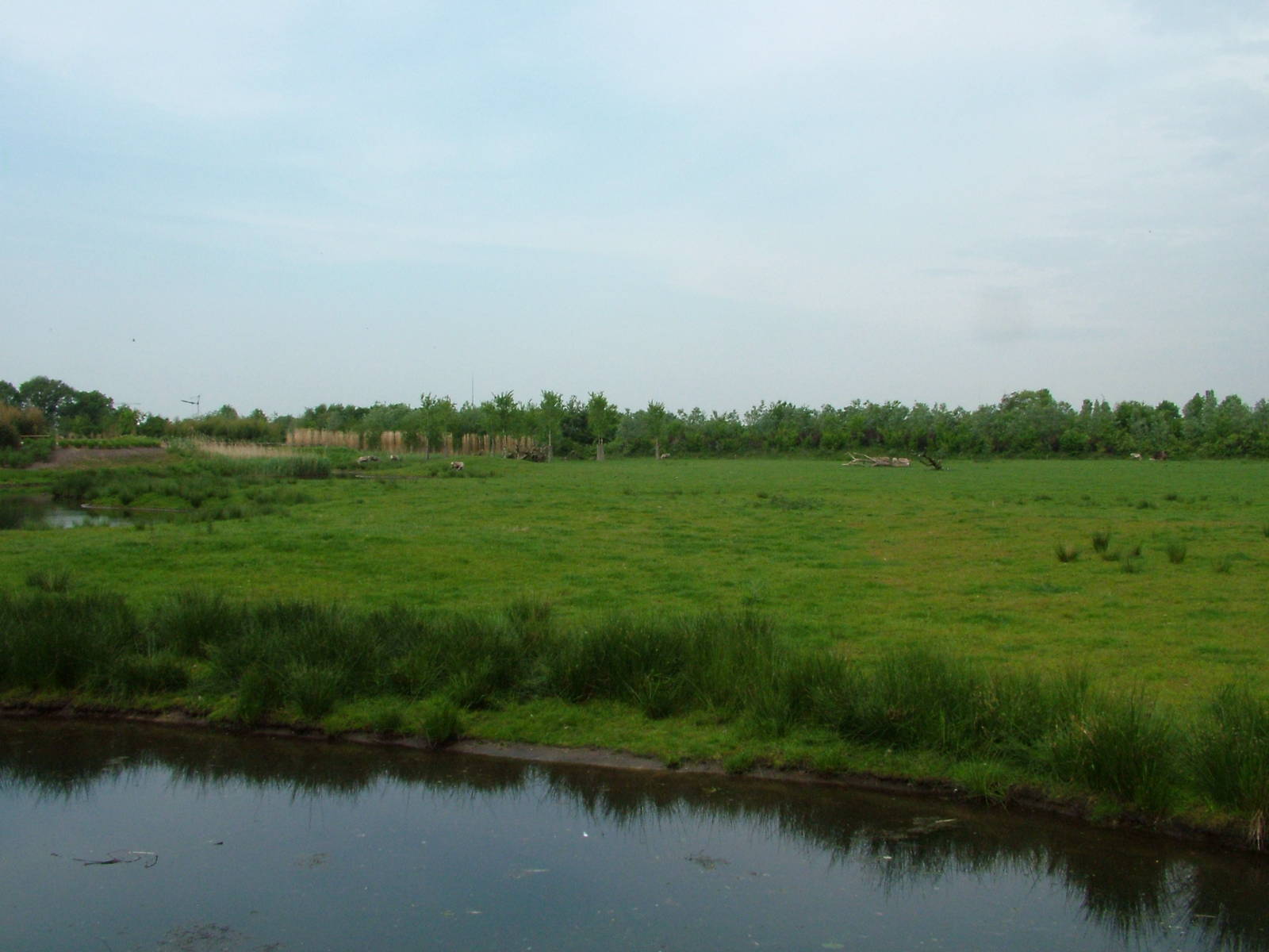 Enormous Reindeer Island at Overloon 14/05/09