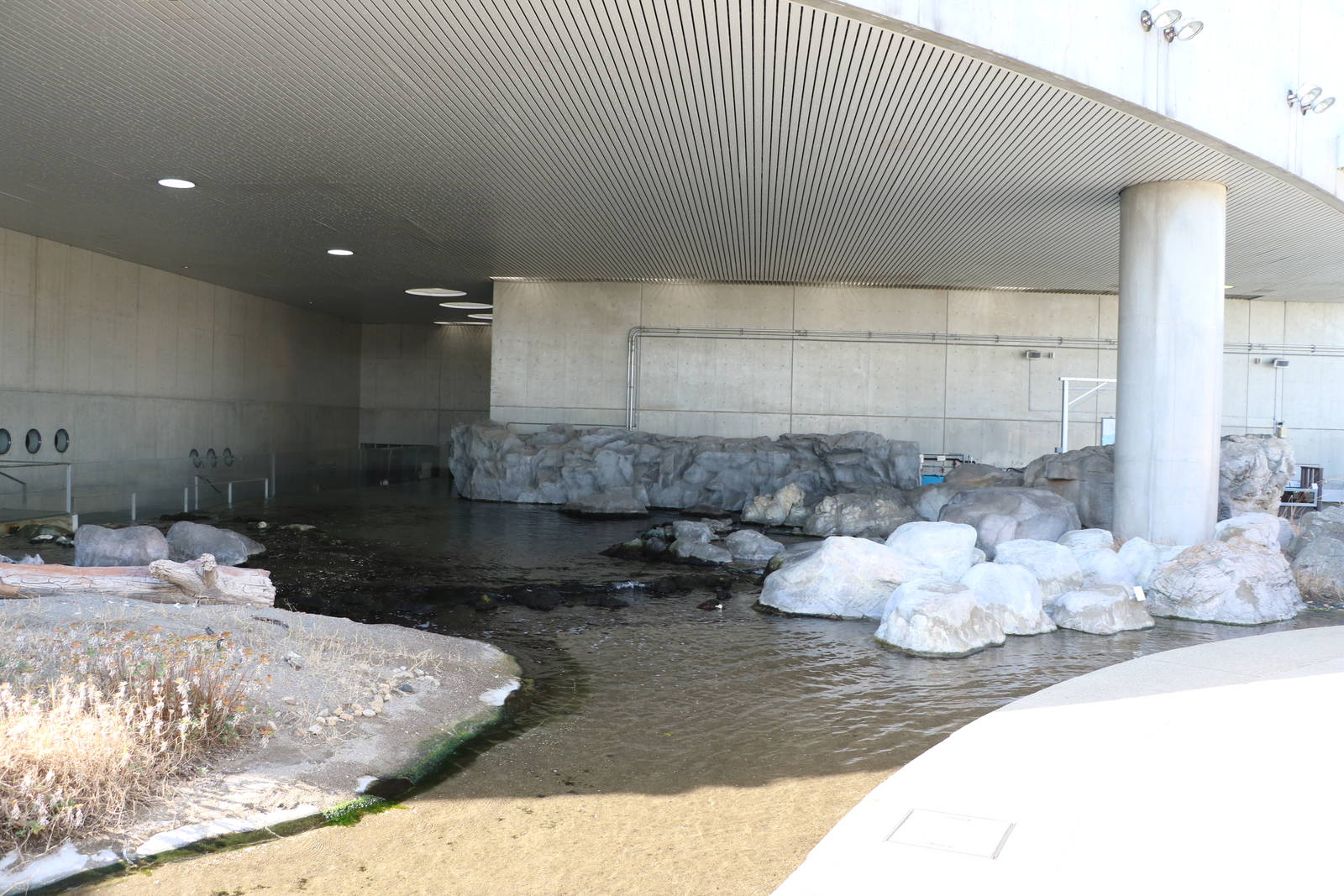 Enormous rocky shore pool - Tokyo Sea Life Park, February 2016
