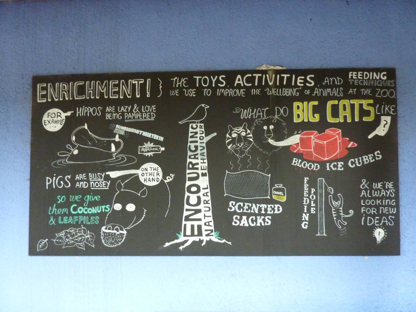 Enrichment board