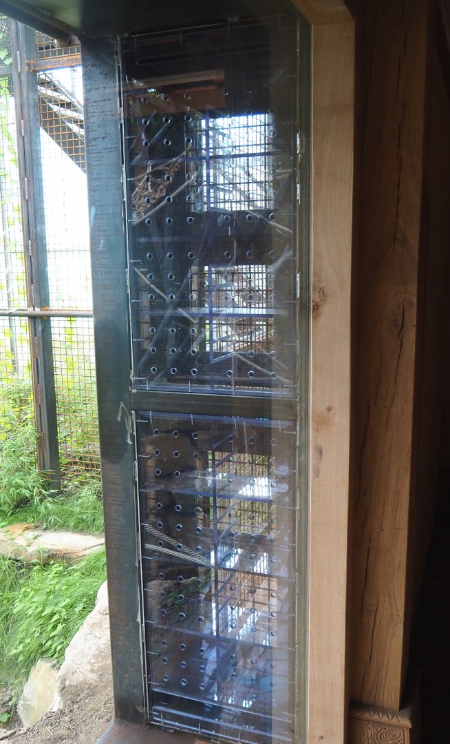 Enrichment box next to visitor area, 2022-07-03