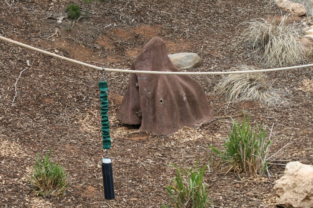 Enrichment devices for the chimps
