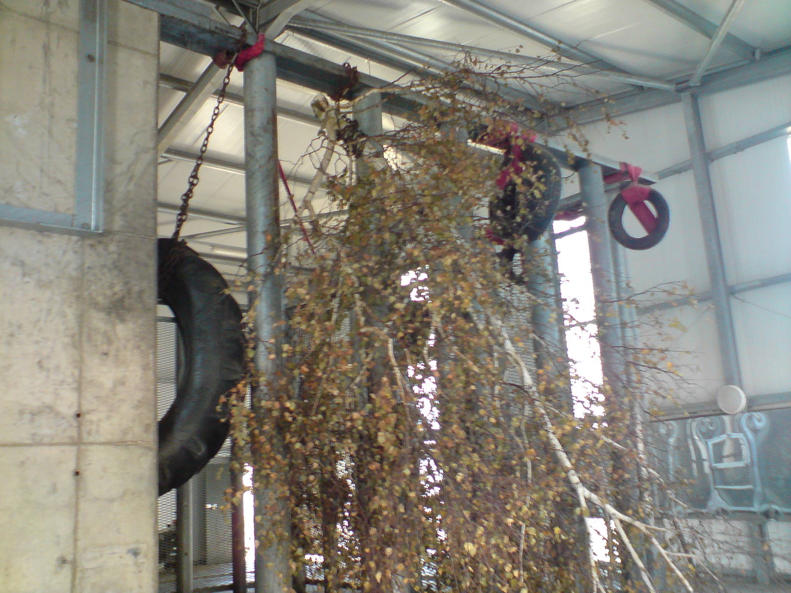 Enrichment for Emmet