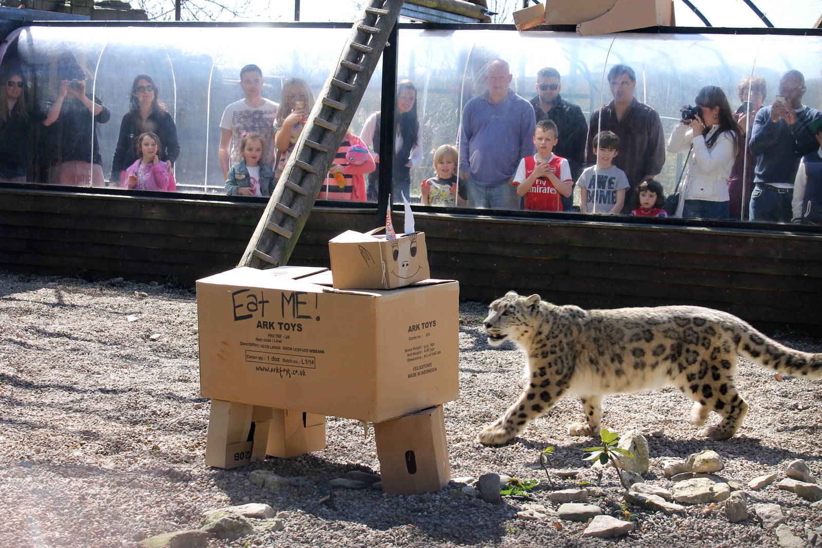 Enrichment for Pavan.