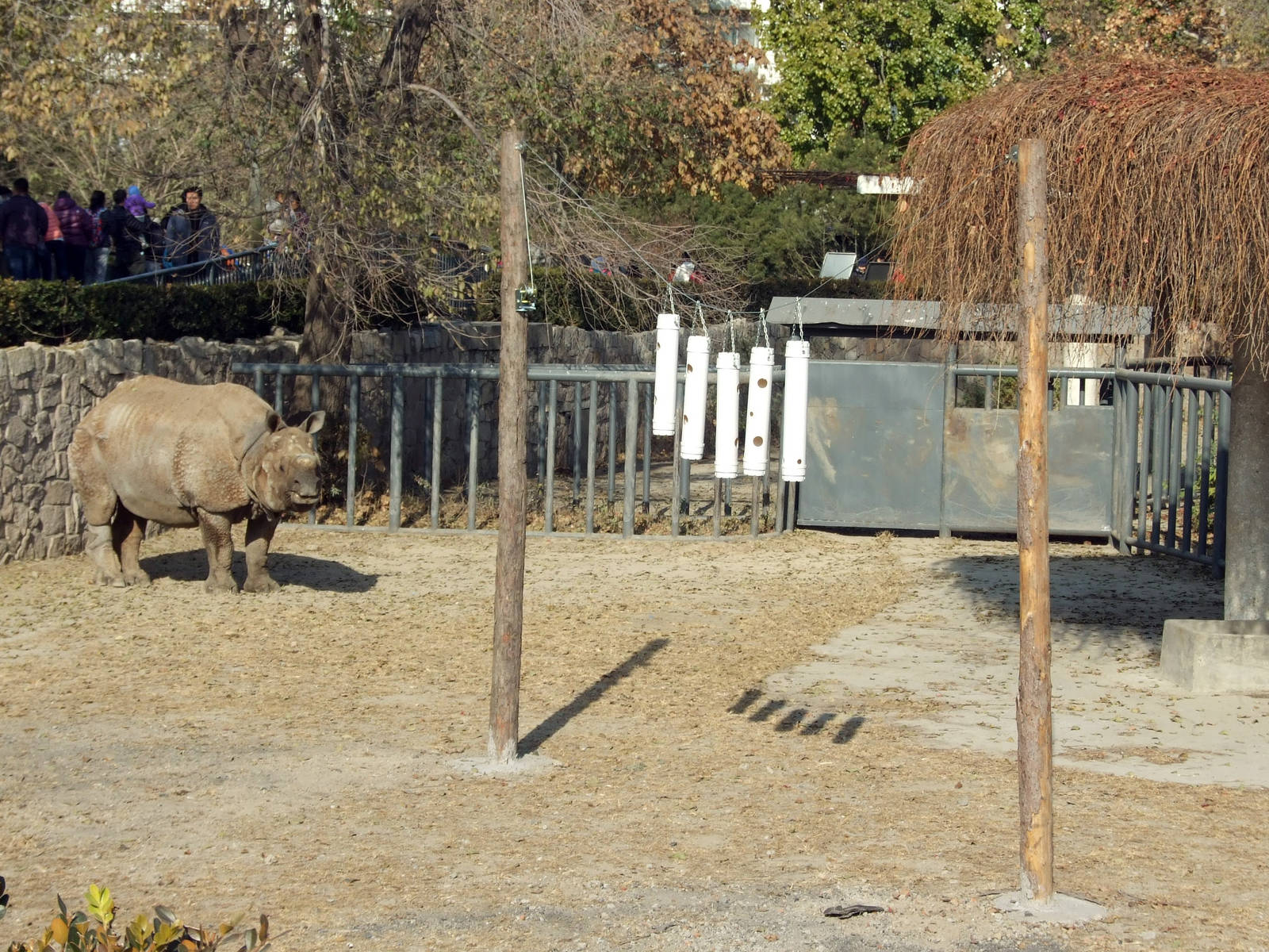 Enrichment for rhino