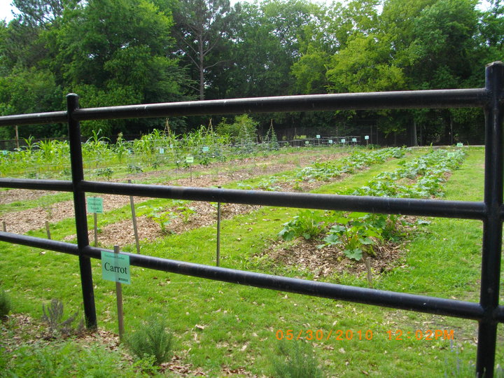 Enrichment Garden