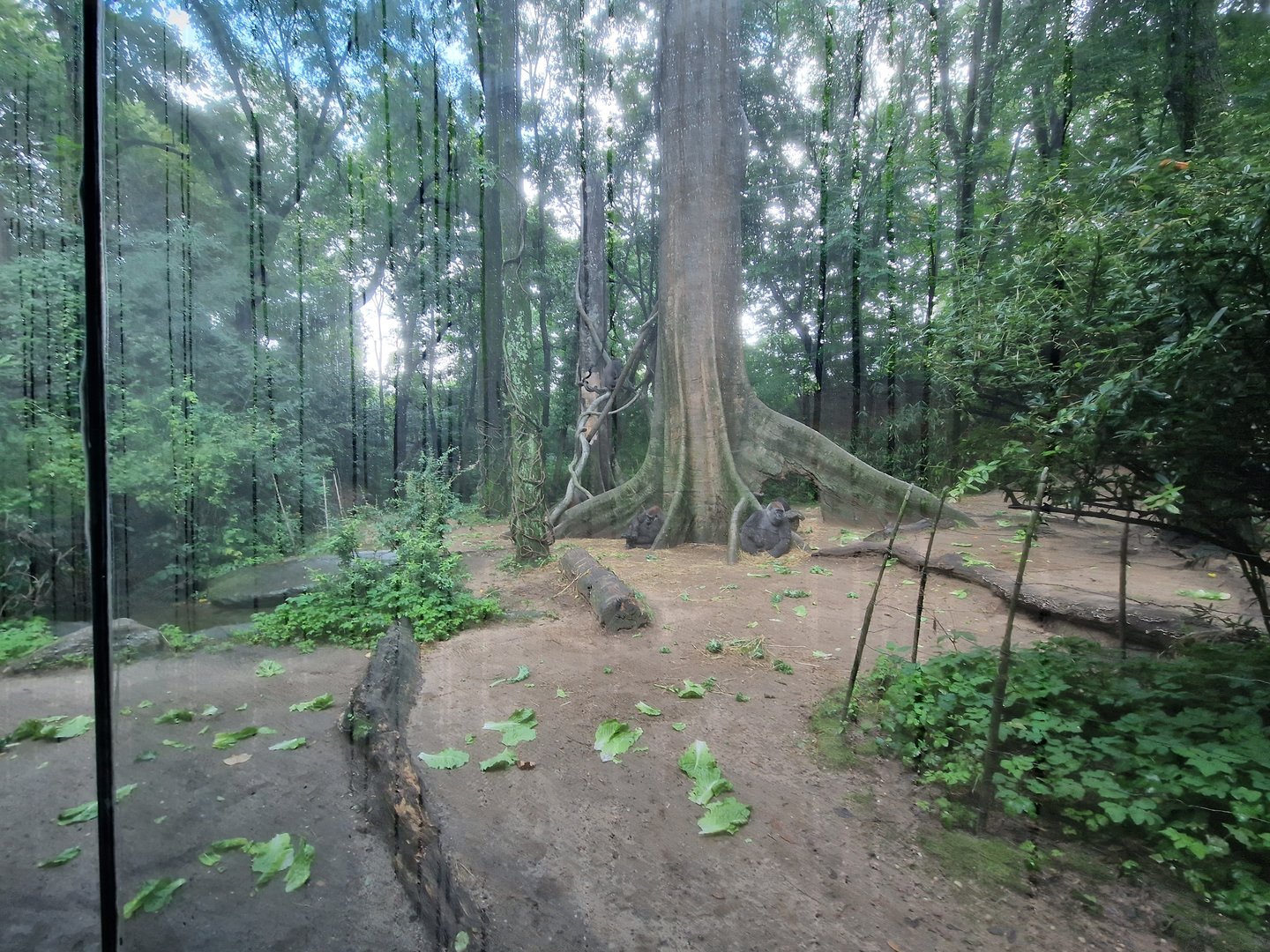 Enrichment gone wrong