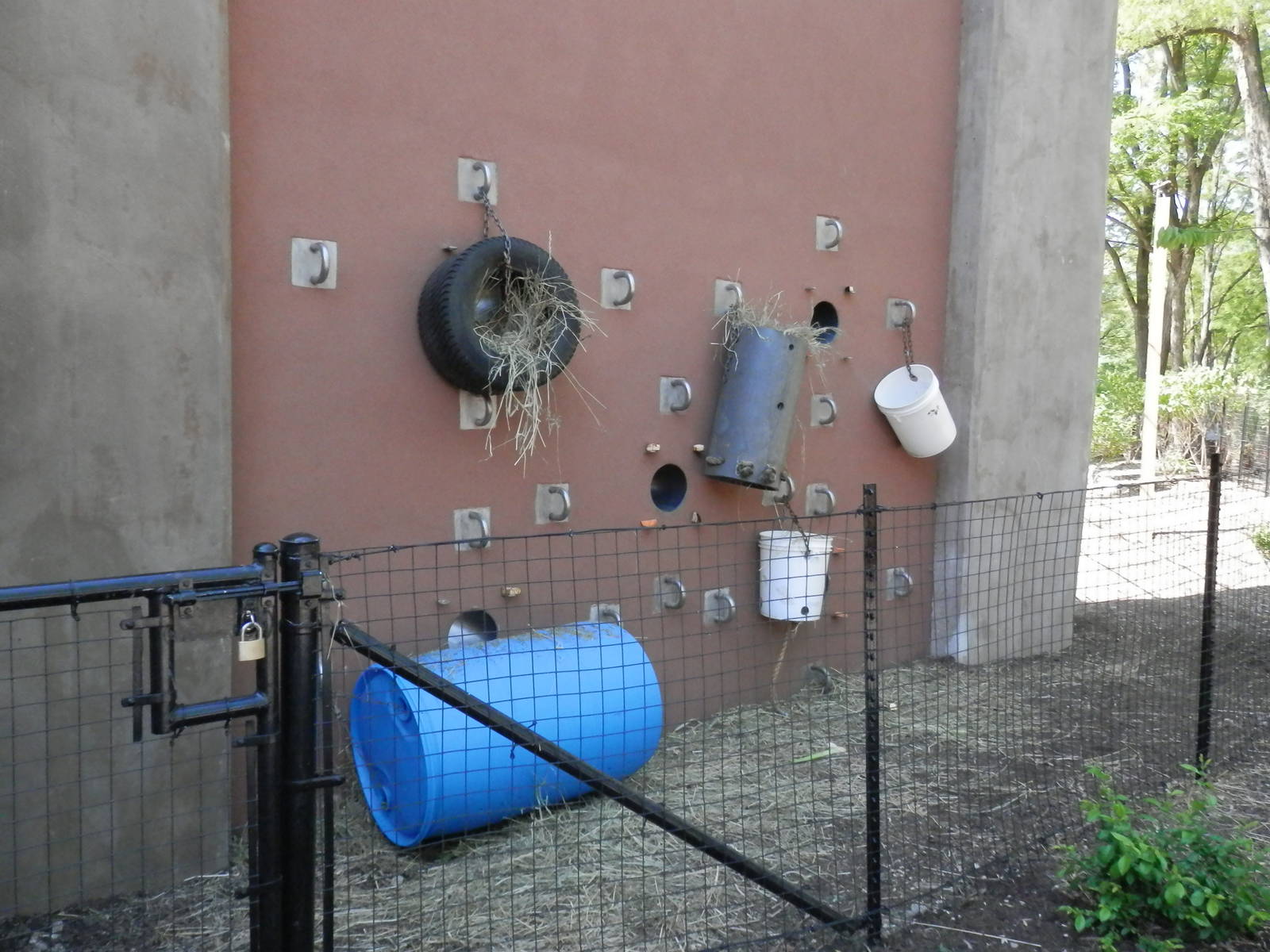 Enrichment holes visitor side