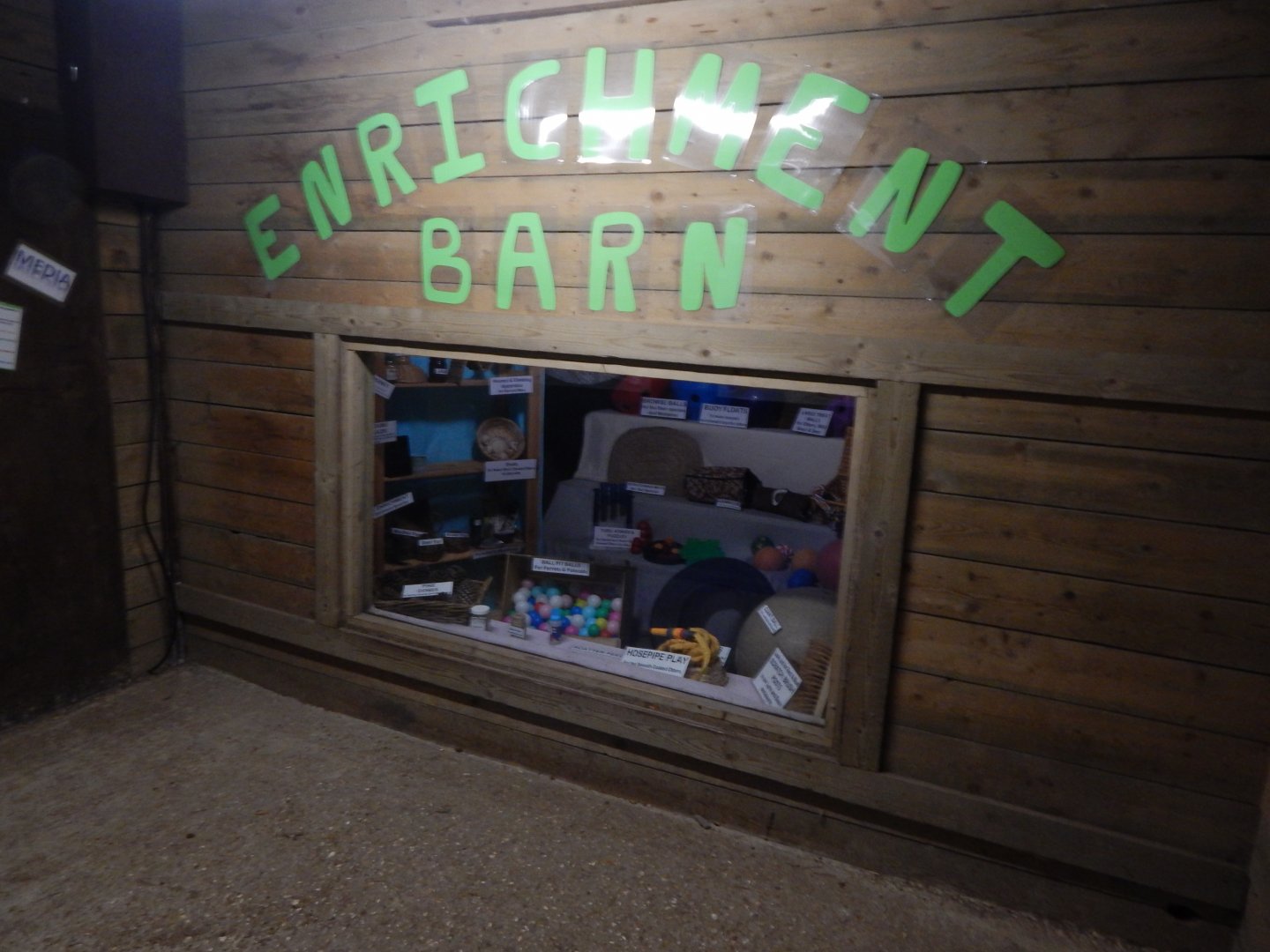 Enrichment Island 130924