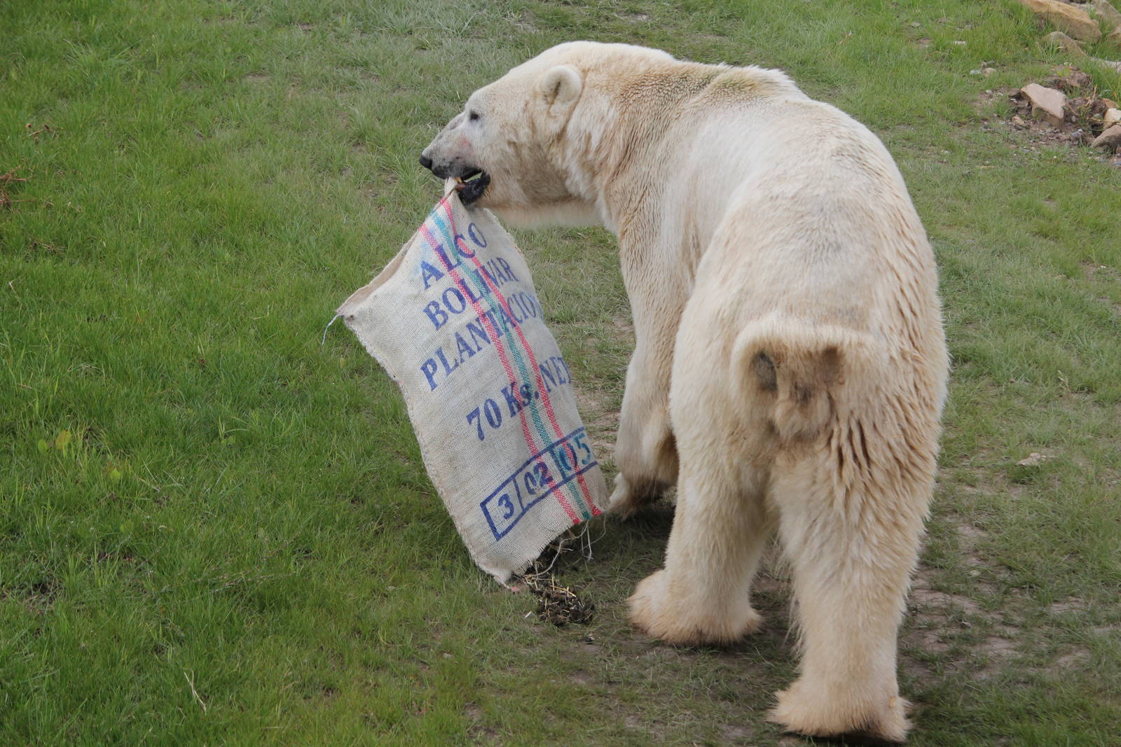 Enrichment items 24-8-14