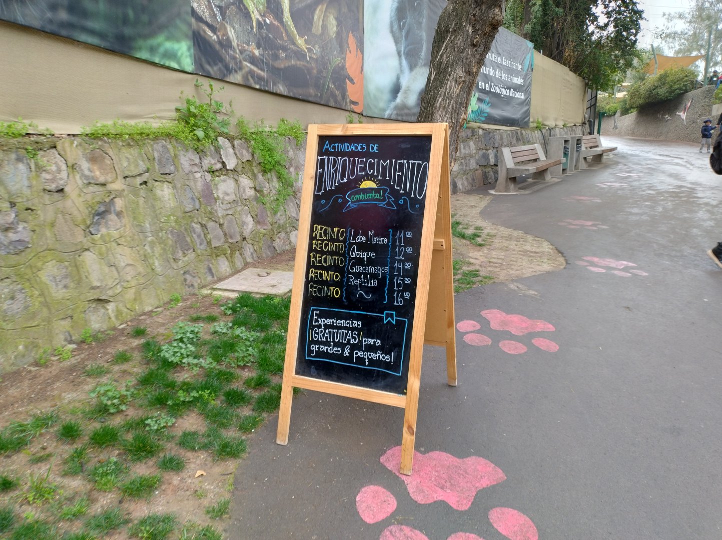 Enrichment schedule - Santiago Zoo (Zoologico nacional)