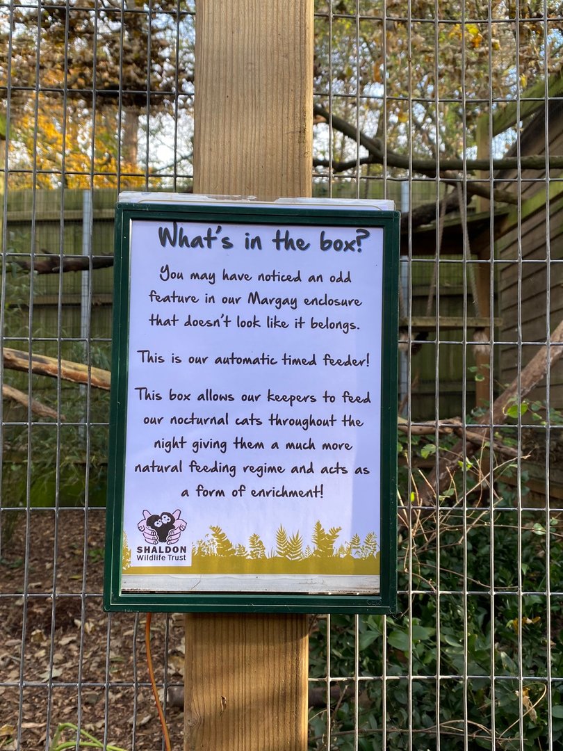 Enrichment sign for Margays 111222