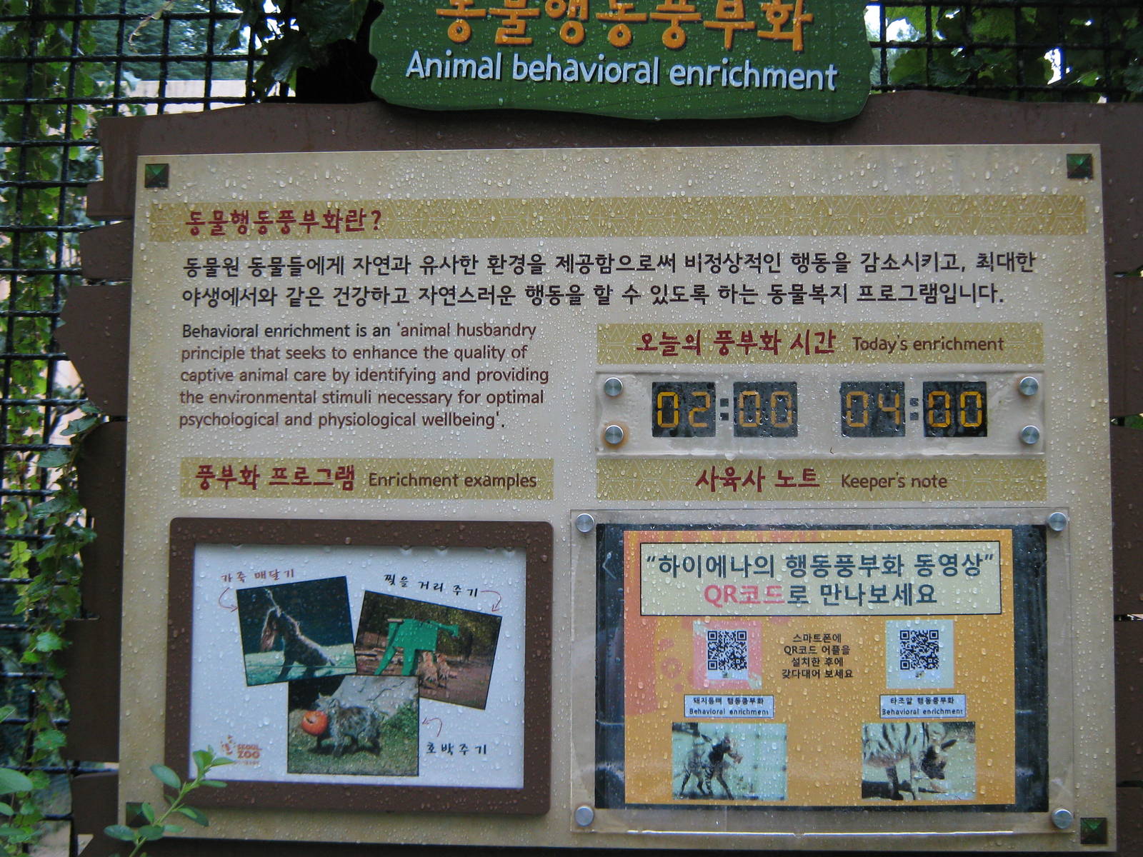 enrichment sign for striped hyaena
