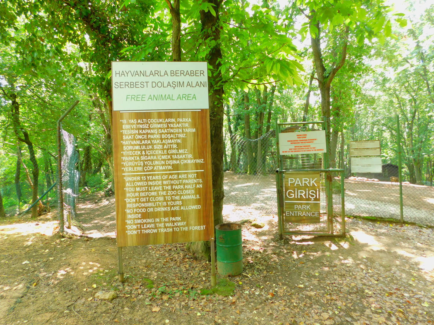 Entarence to Deer Walkthrough