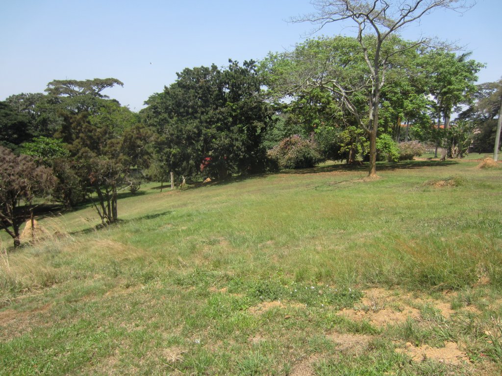Entebbe Botanic Gardens