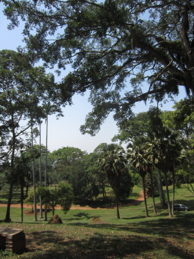 Entebbe Botanic Gardens