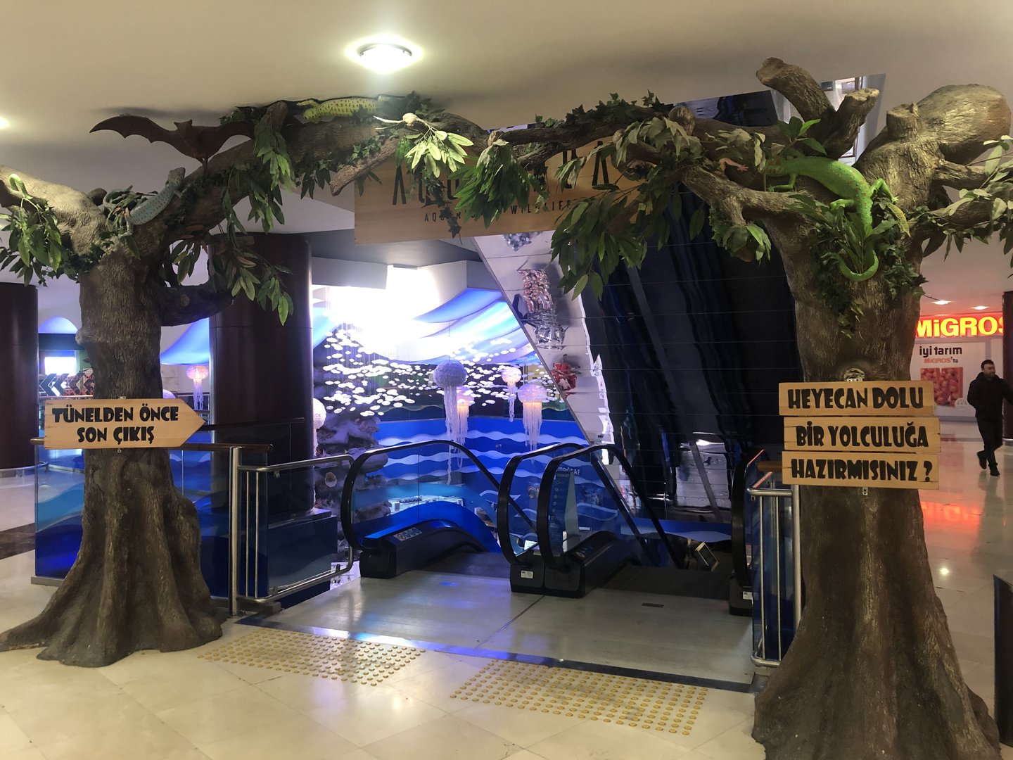 Enterance of Aqua Vega from inside the Shopping Mall