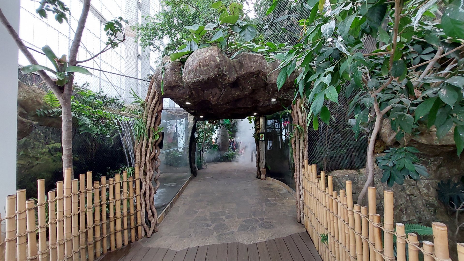 Enterance to Cloud Forest Trek- Rapids