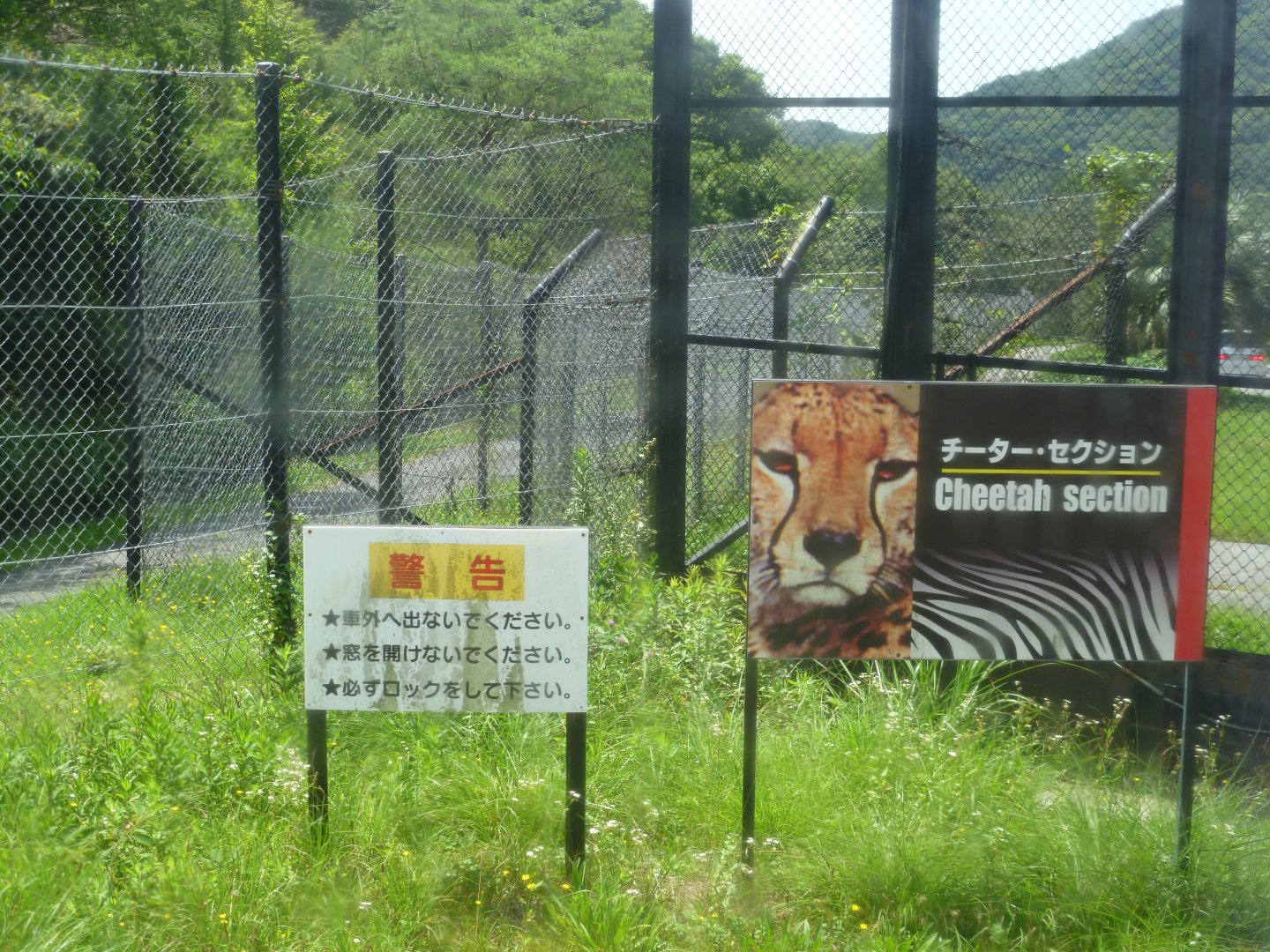 Enterance to the cheetah area