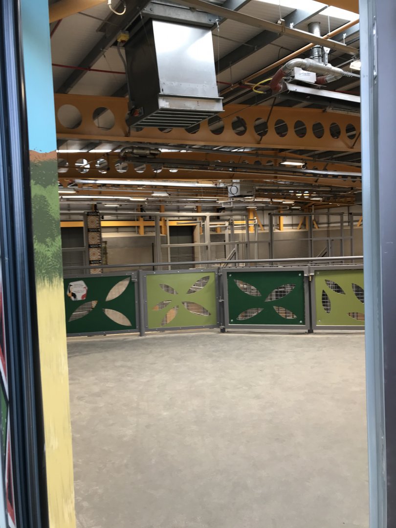 Entering giraffe indoors