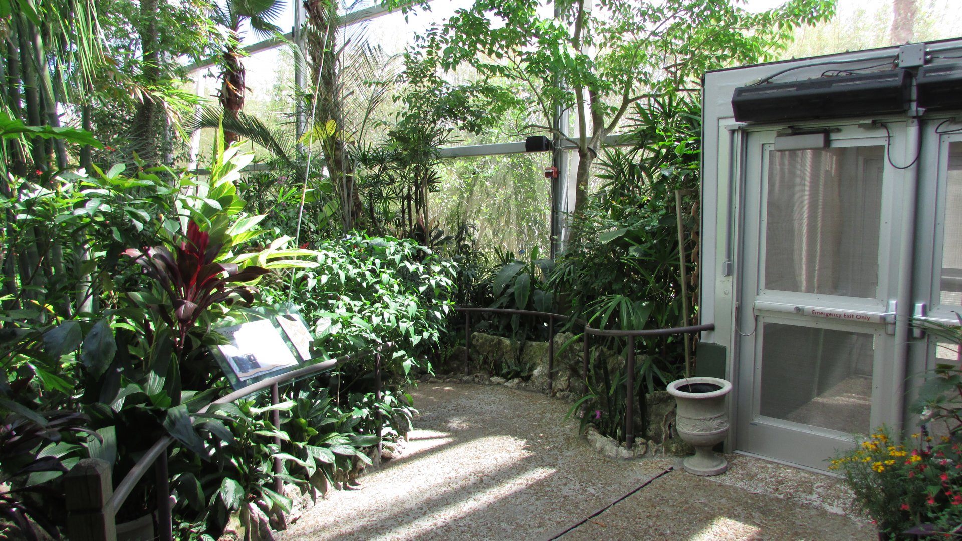 Entering The Butterfly Rainforest