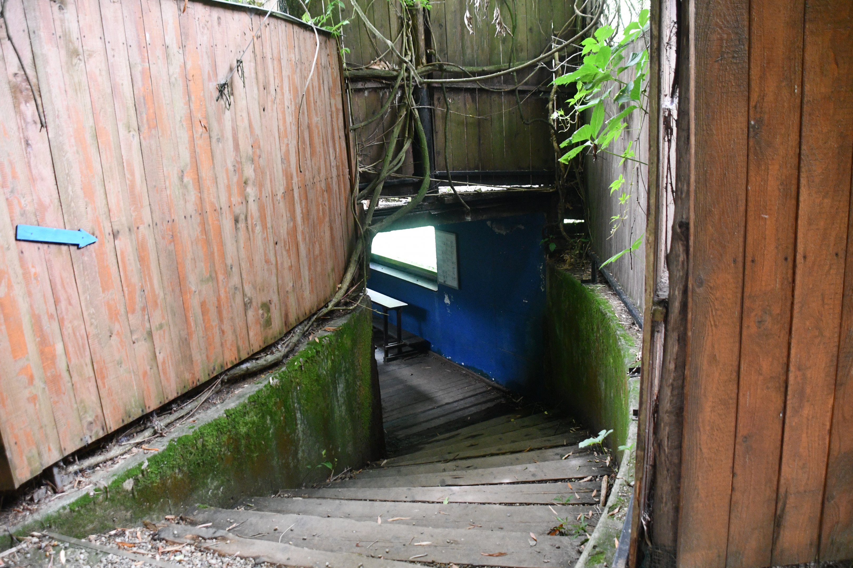 entering the Grebes, Otters, and Beavers underwater viewing tunnel