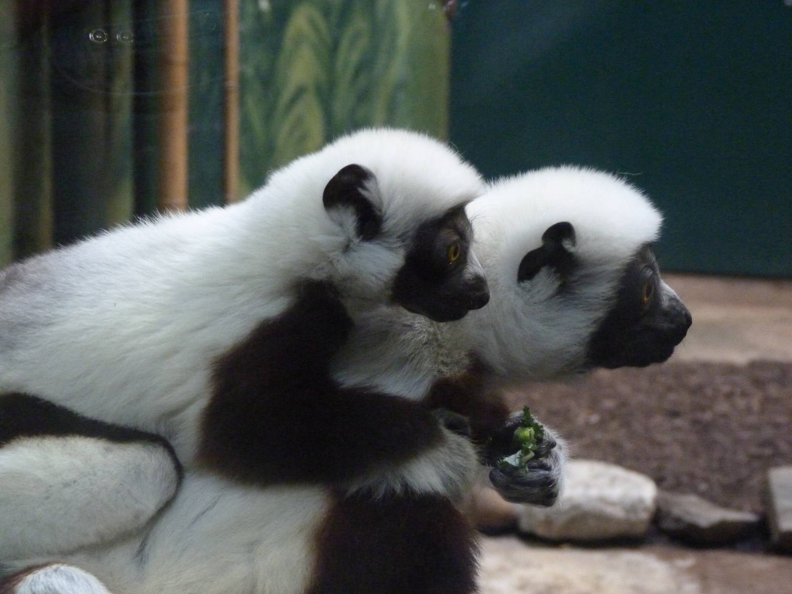 Entertainers of the Day